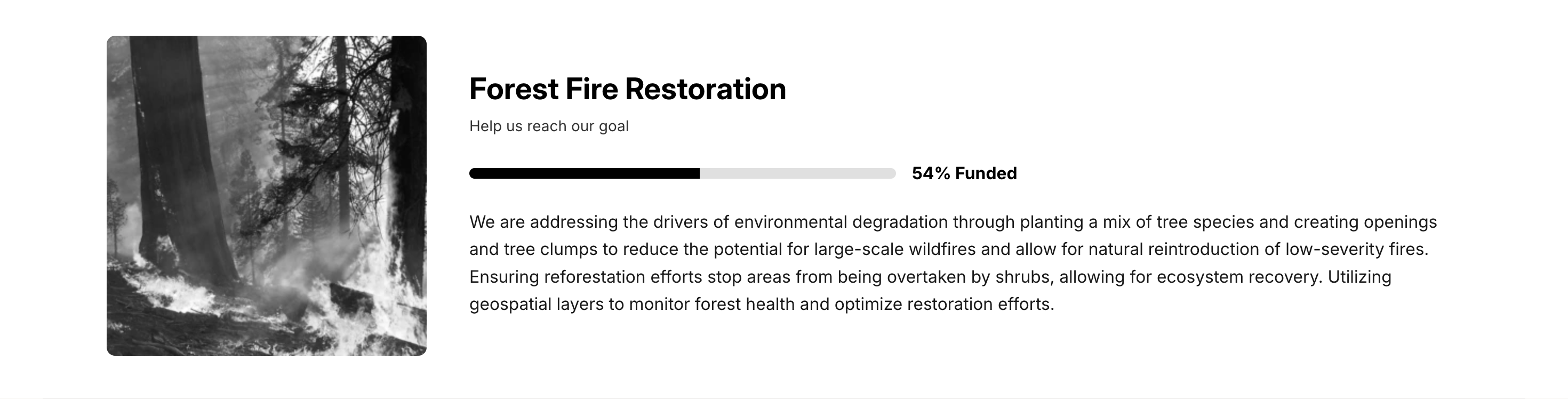 Custom Donation Widgets
