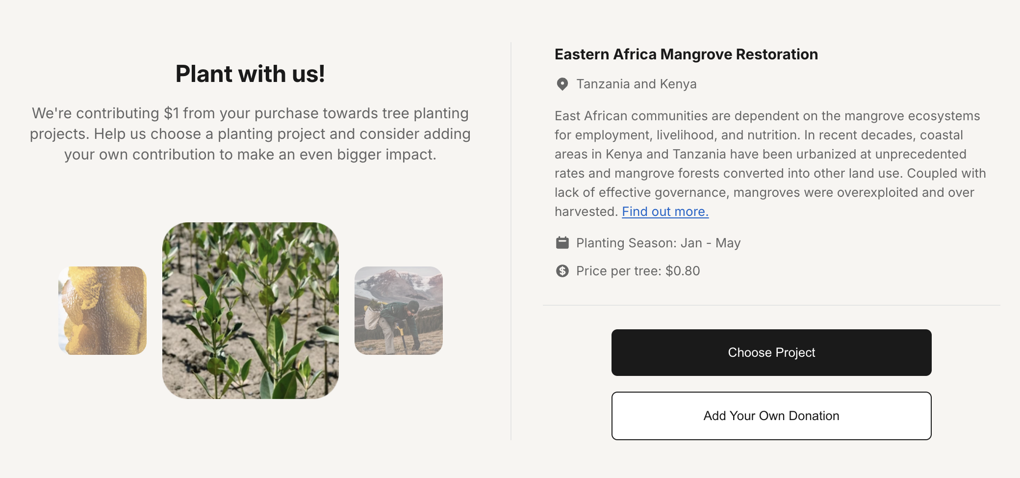 Planetary Mobile Mockup